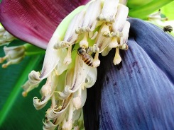 �����W�߂�݂΂�