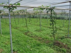 �p�b�V������T�ޏ�