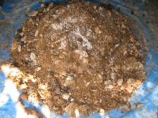 ���y���������